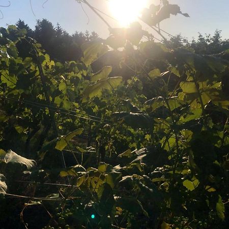 Fehring Winzerhaeuschen Kern 아파트 외부 사진