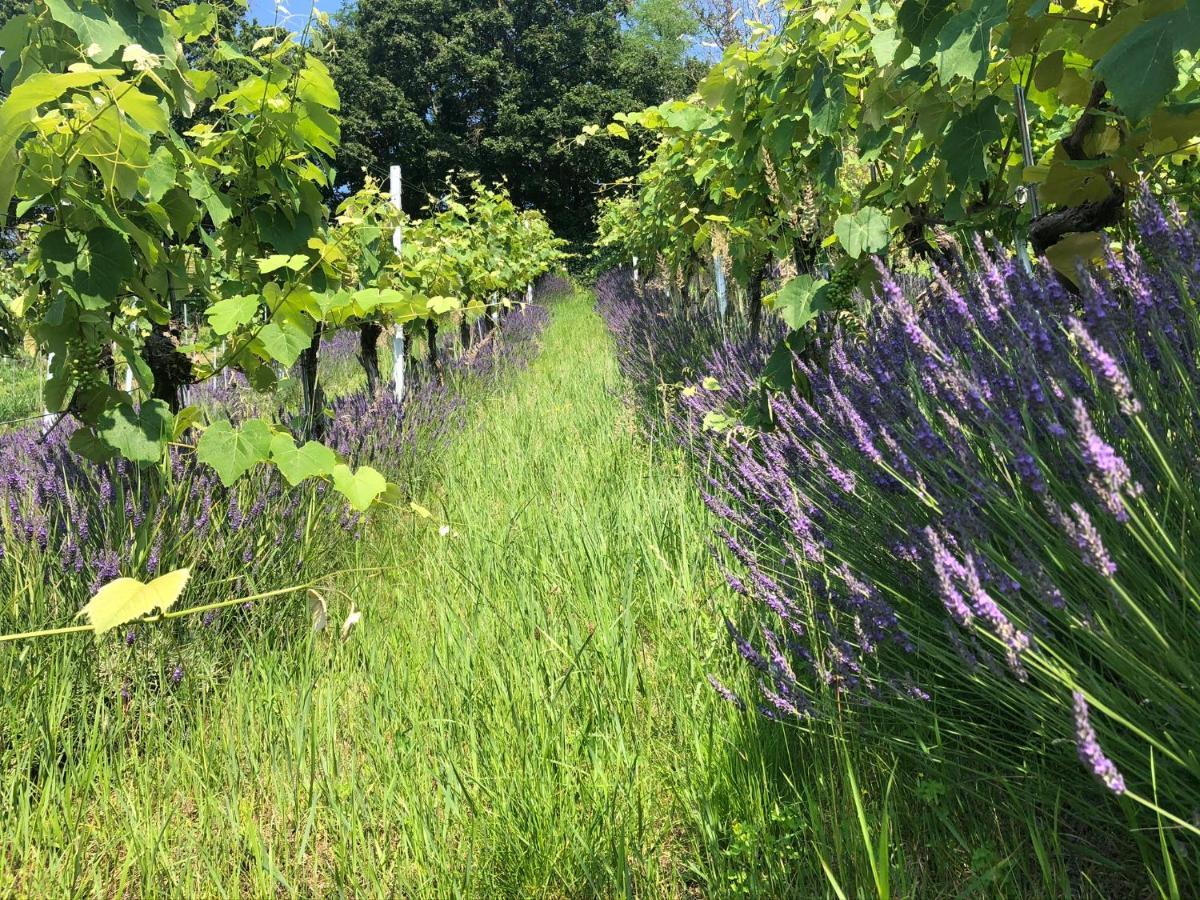 Fehring Winzerhaeuschen Kern 아파트 외부 사진